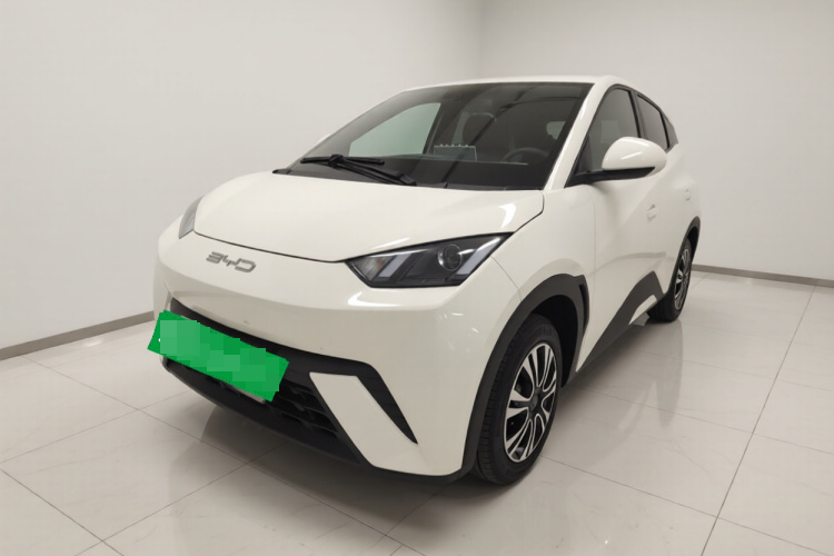 BYD SURF 2023 ID: GZ2603261220