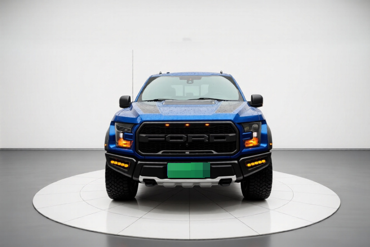 FORD F150-SVT-RAPTOR 2017 ID: GZ2604151279
